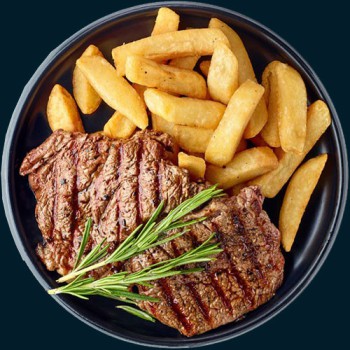 brown-bear-vector-graphics